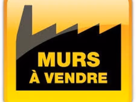 vente locaux professionnels 712 m² à saujon (17600)  1 155 000 €