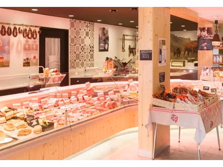 vente locaux professionnels 150 m² à valloire (73450)  740 000 €