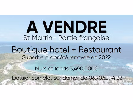vente locaux professionnels 790 m² à saint-martin (97150)  3 495 000 €