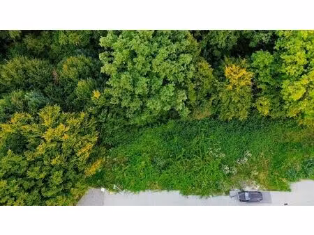 terrain avec permis exceptionnel en bordure de natura 2000