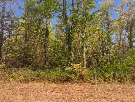 terrain 3 020 m² saint germain du salembre