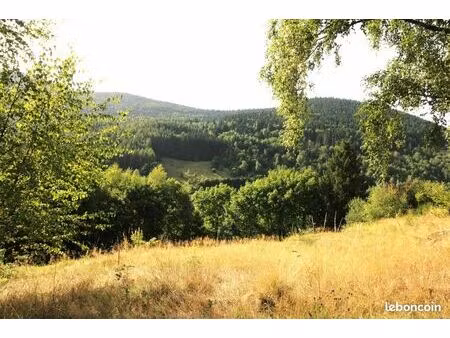 terrain 2 080 m² bussang