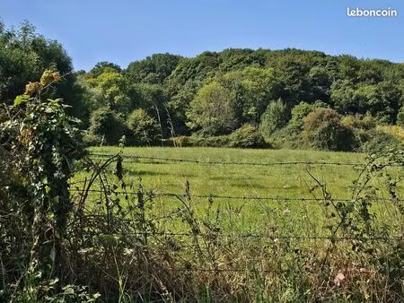 terrain constructible