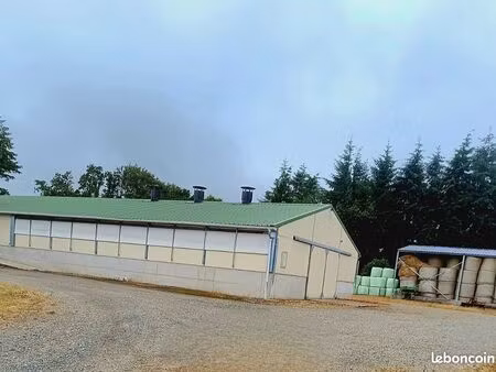 exploitation agricole élevage de veaux sur paille