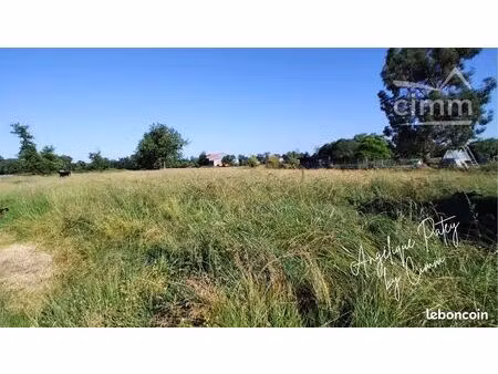 terrain 1 pièce 1127 m²