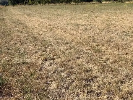 terrain 3706 m² aigremont