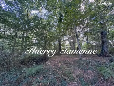 forêt 50 154 m² saint pe saint simon