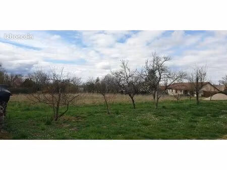 terrain constructible