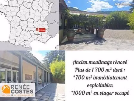 maison en viager 17 pièces 1 100 m²
