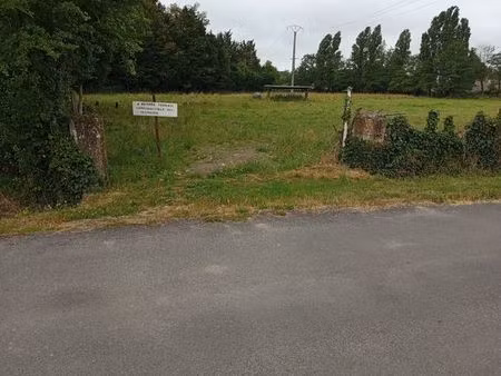 terrain constructible