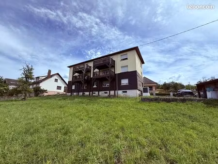 immeuble 390 m² lembach