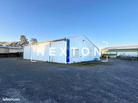 local 240 m² angresse