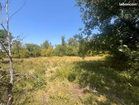 terrain 12000 m² caussade