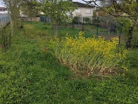 terrain de 355m2 avec cu