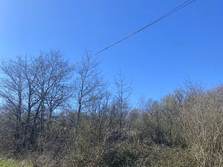 saint-gilles-croix-de-vie - terrain agricole de plus de 3 000 m2