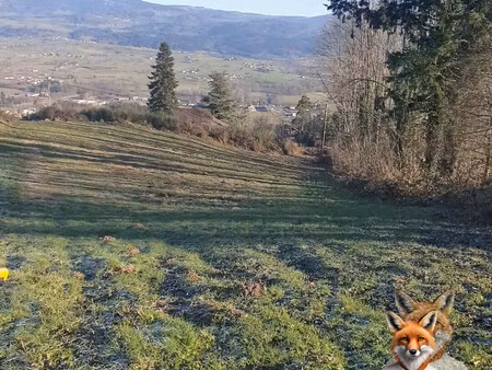 terrain saint ferreol des cotes 3248 m2