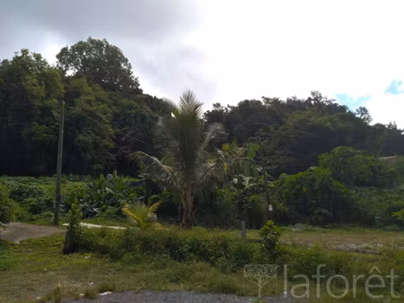 terrain constructible aux abymes de 3513m²