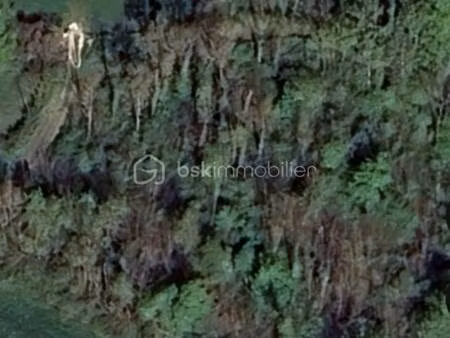 sandra guilletat bsk immobilier