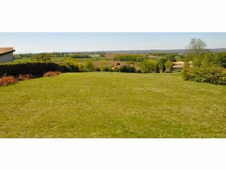 le tournesol lot numéro 2