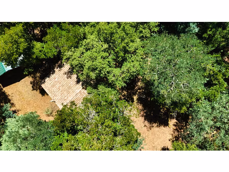 vente terrain 2593 m² le cap-ferret (33970)