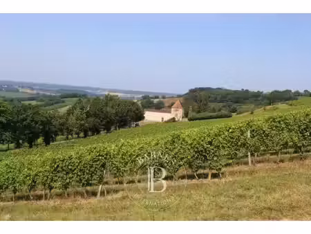 maison de maitre a restaurer au milieu des vignes dans le gers