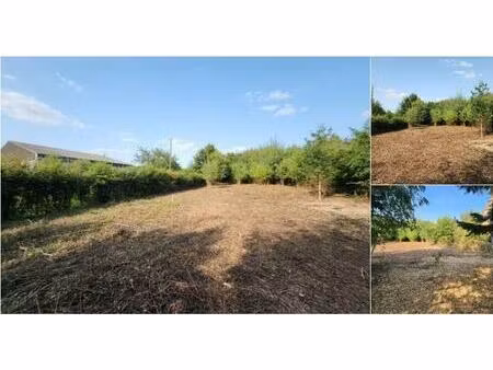 terrain à bâtir à vendre à rue du bois de buis perwez (vbd13903)