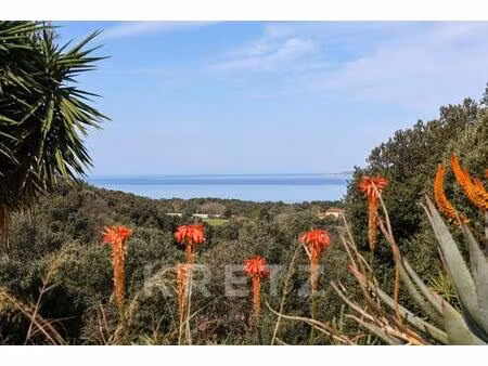 maison proche du village de calcatoggio