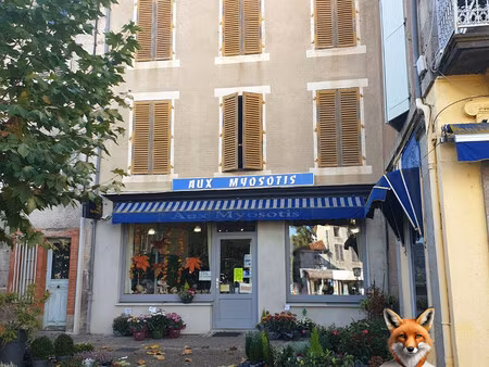 maison 12 pièces 500 m2 plus local commercial