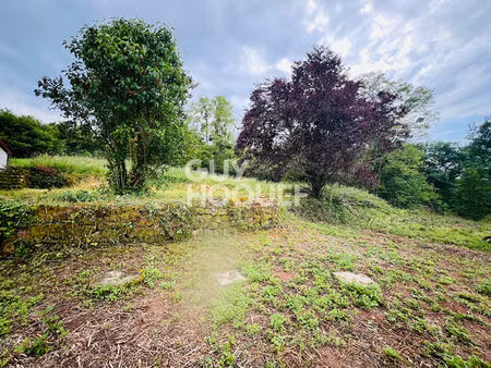 maison spacieuse à vendre à ozolles - 5 pièces avec grand terrain