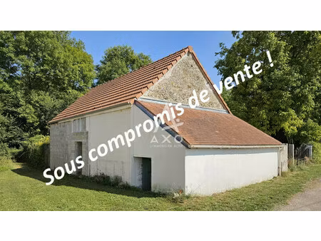 vente remise en pierre sceaux du gatinais  50m² 2 pièces 44 000€ loiret