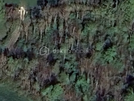 vente terrain 37590 m² à mesnil-saint-père (10140)  48 000 €