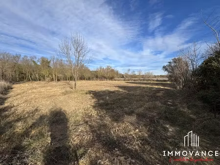 vente terrain à batir 2084 m² à saint-drézéry (34160)  298 000 €