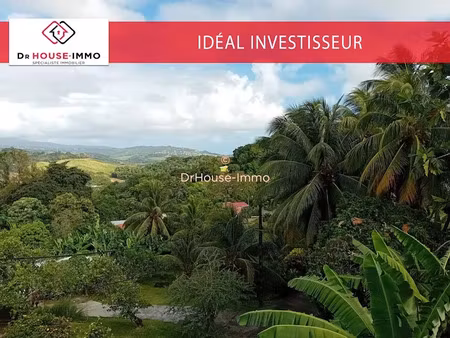 vente immeuble 12 pièces 350 m² à le robert (97231)  445 000 €