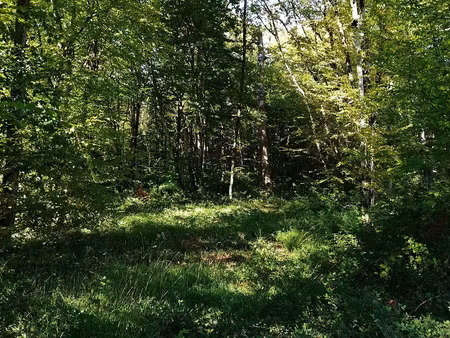 achat terrain 659m² pranzac 16110