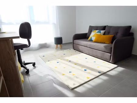 location appartement 1 pièce 20m² isle 87170