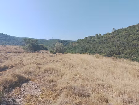 vente terrain  1141.00m²  saint