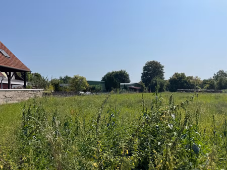 achat terrain 566m² saasenheim 67390
