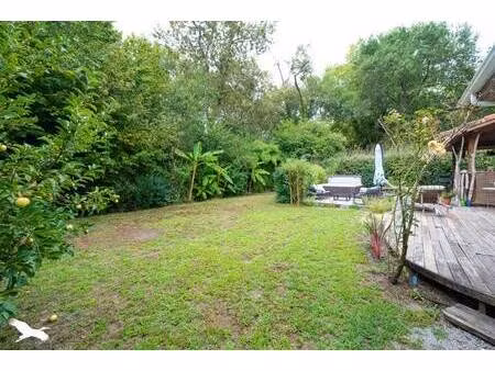 vente maison 4 pièces 84 m² messanges (40660)