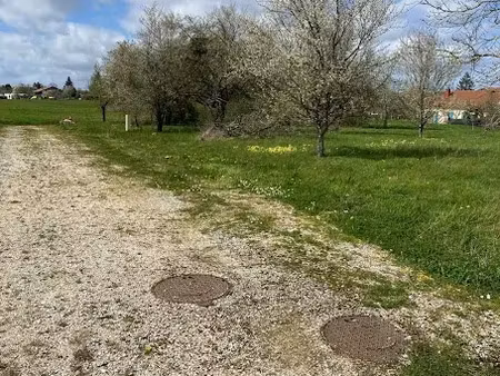 vente terrain 1003 m² à louze (52220)  19 048 €