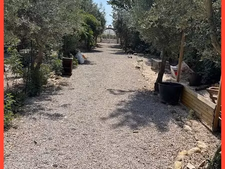 vente locaux professionnels 5 pièces 320 m² à thuir (66300)  730 000 €