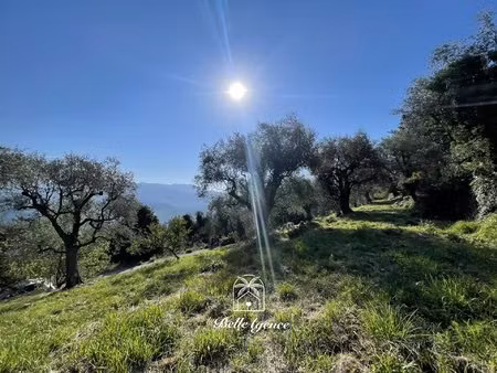 chateauneuf villevieille - terrain constructible 1950m²