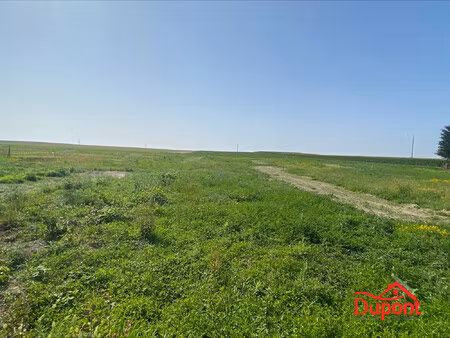 trés beau terrain constructible sur la commune de saint germain