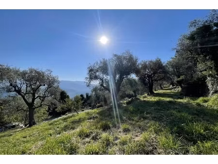 annonce terrain à vendre