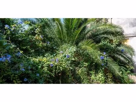 terrain carqueiranne (83)