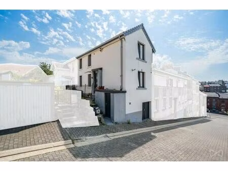 maison 2 chambres à vendre à andrimont