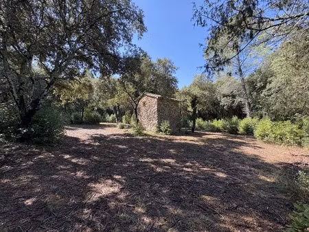 terrain de 2 695 m² - 30700 blauzac