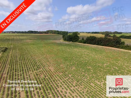 terrain agricole de 5 hectares avec hangar libre à partir du 1er novembre 2026