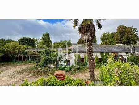 vente maison à saint-saturnin-sur-loire (49320) : à vendre / 300m² saint-saturnin-sur-loir