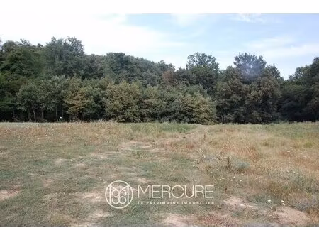 rare - terrain constructible de 2289 m² entre nature et commodites