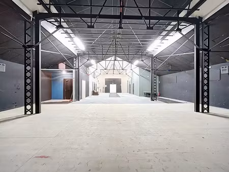 local professionnel a vendre